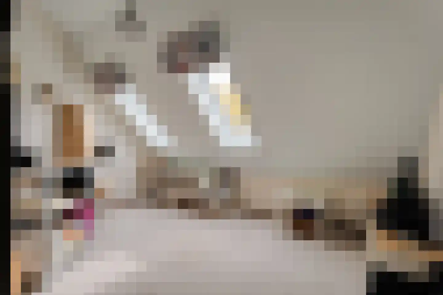 De Poppe 21 de Lutte thumbnail 33