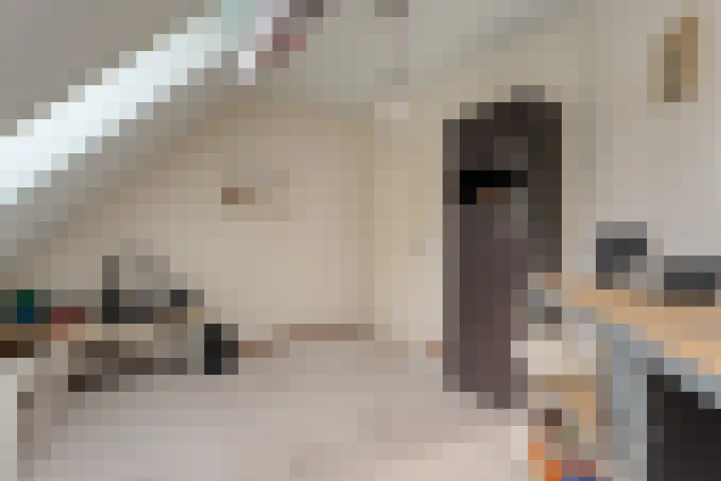 De Poppe 21 de Lutte thumbnail 34