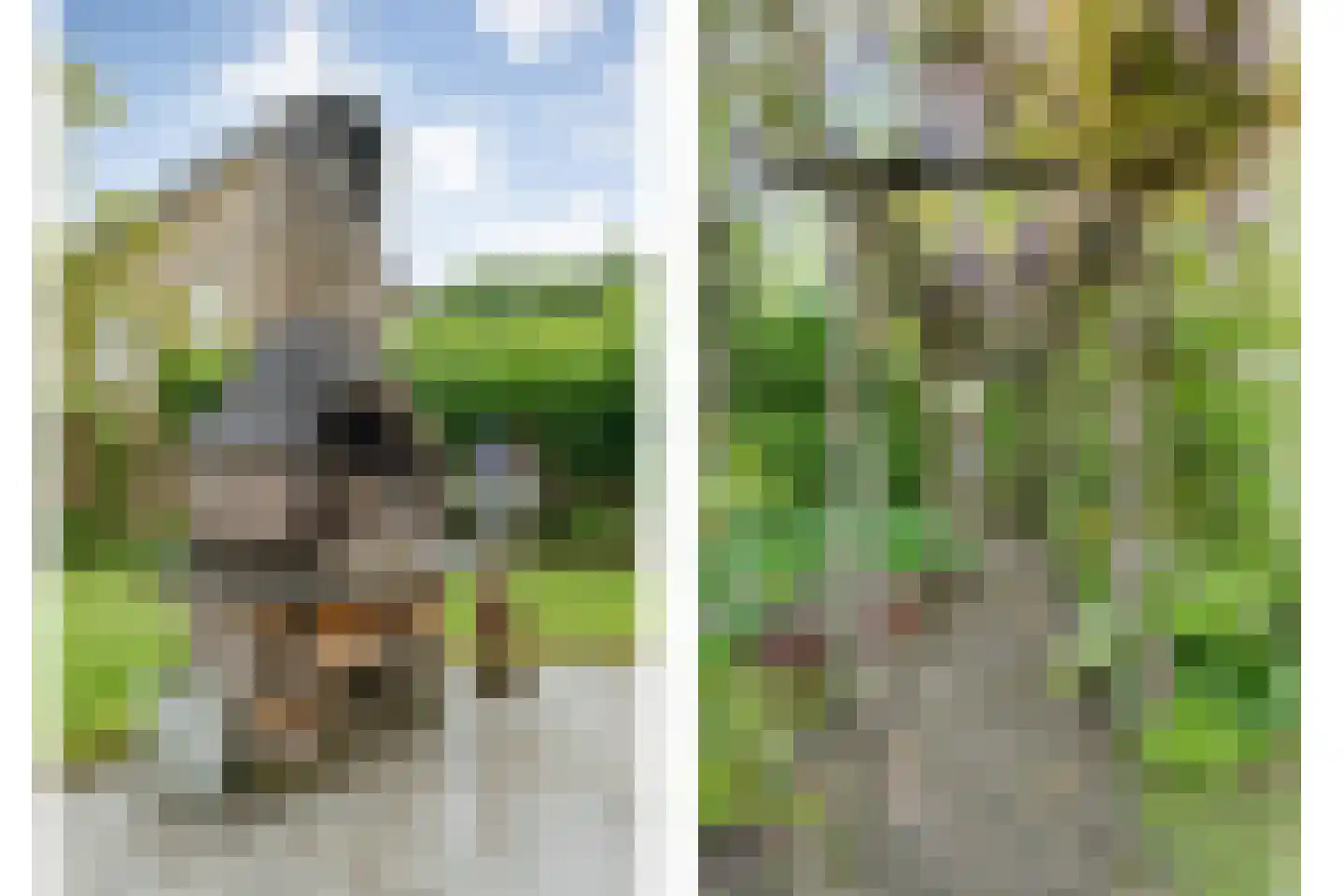 De Poppe 21 de Lutte thumbnail 36