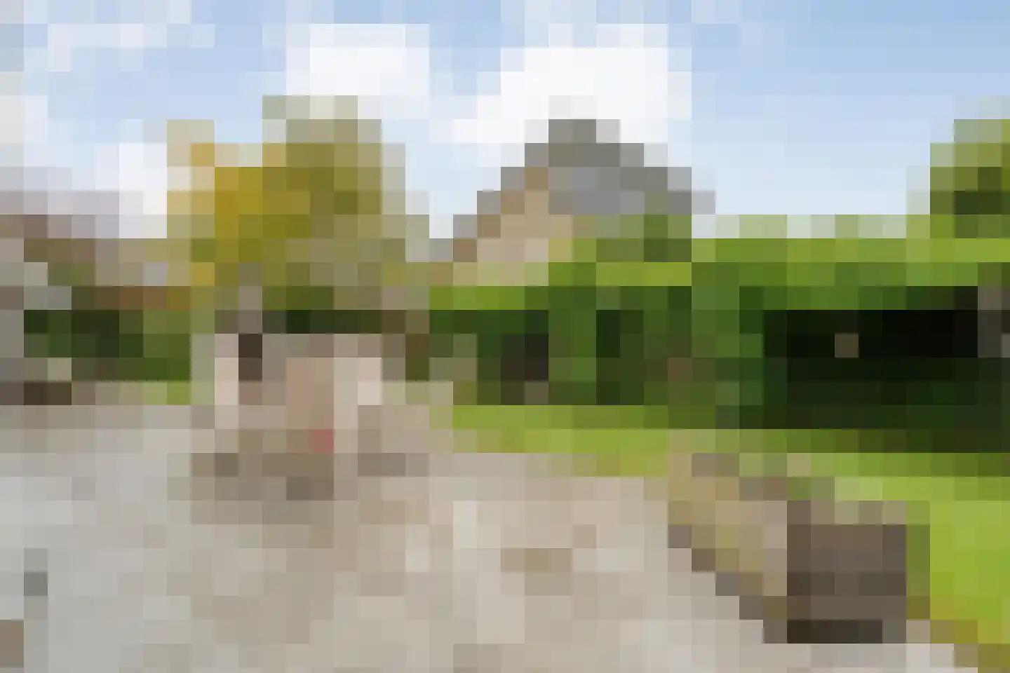 De Poppe 21 de Lutte thumbnail 37