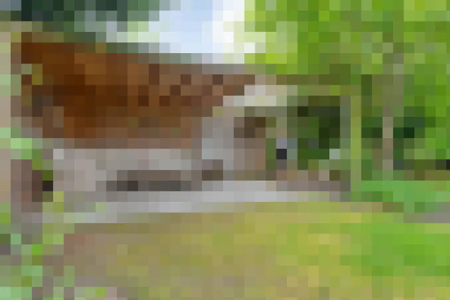 De Poppe 21 de Lutte thumbnail 38