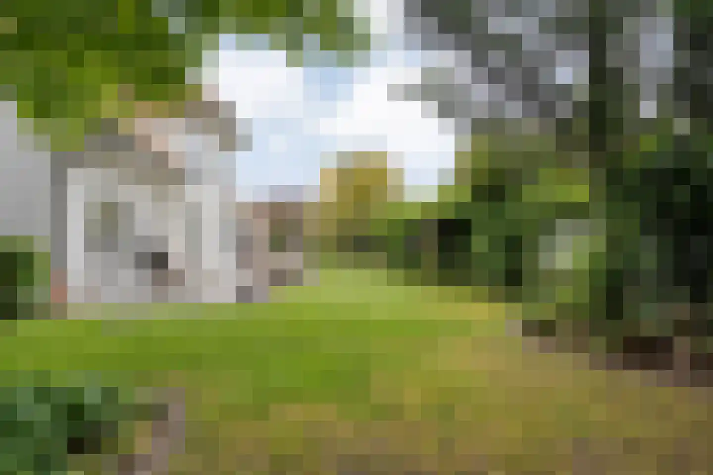 De Poppe 21 de Lutte thumbnail 39