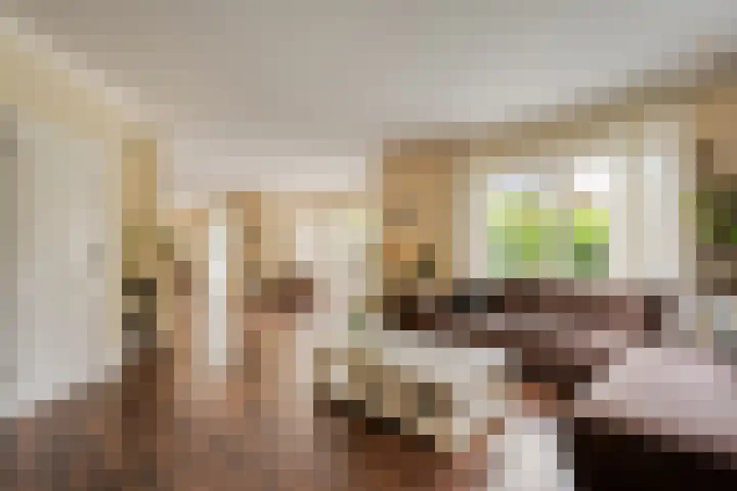 De Poppe 21 de Lutte thumbnail 7