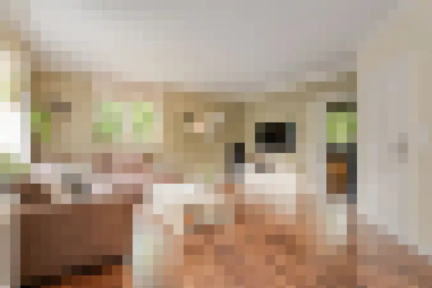 De Poppe 21 de Lutte thumbnail 8