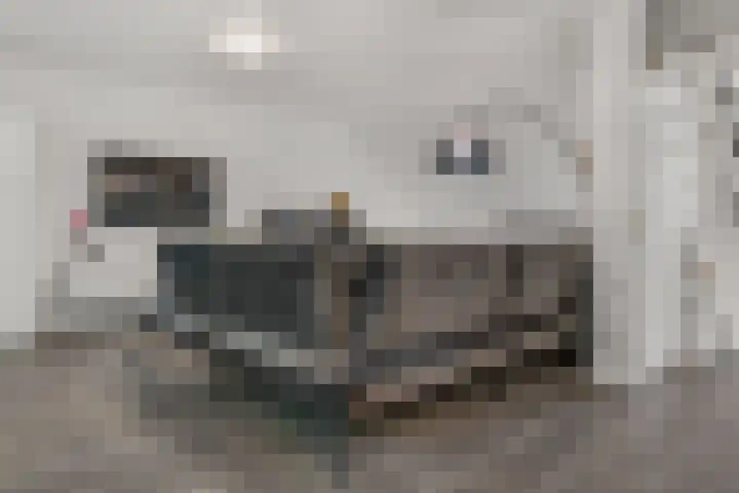 De Poppe 25 SK de Lutte thumbnail 15
