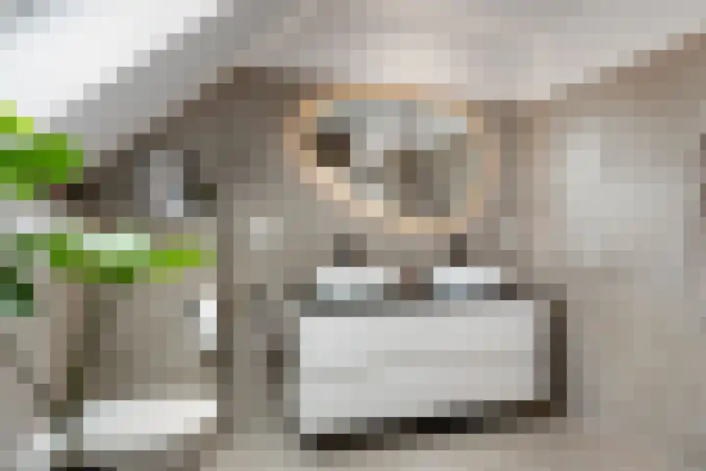 De Poppe 25 SK de Lutte thumbnail 17