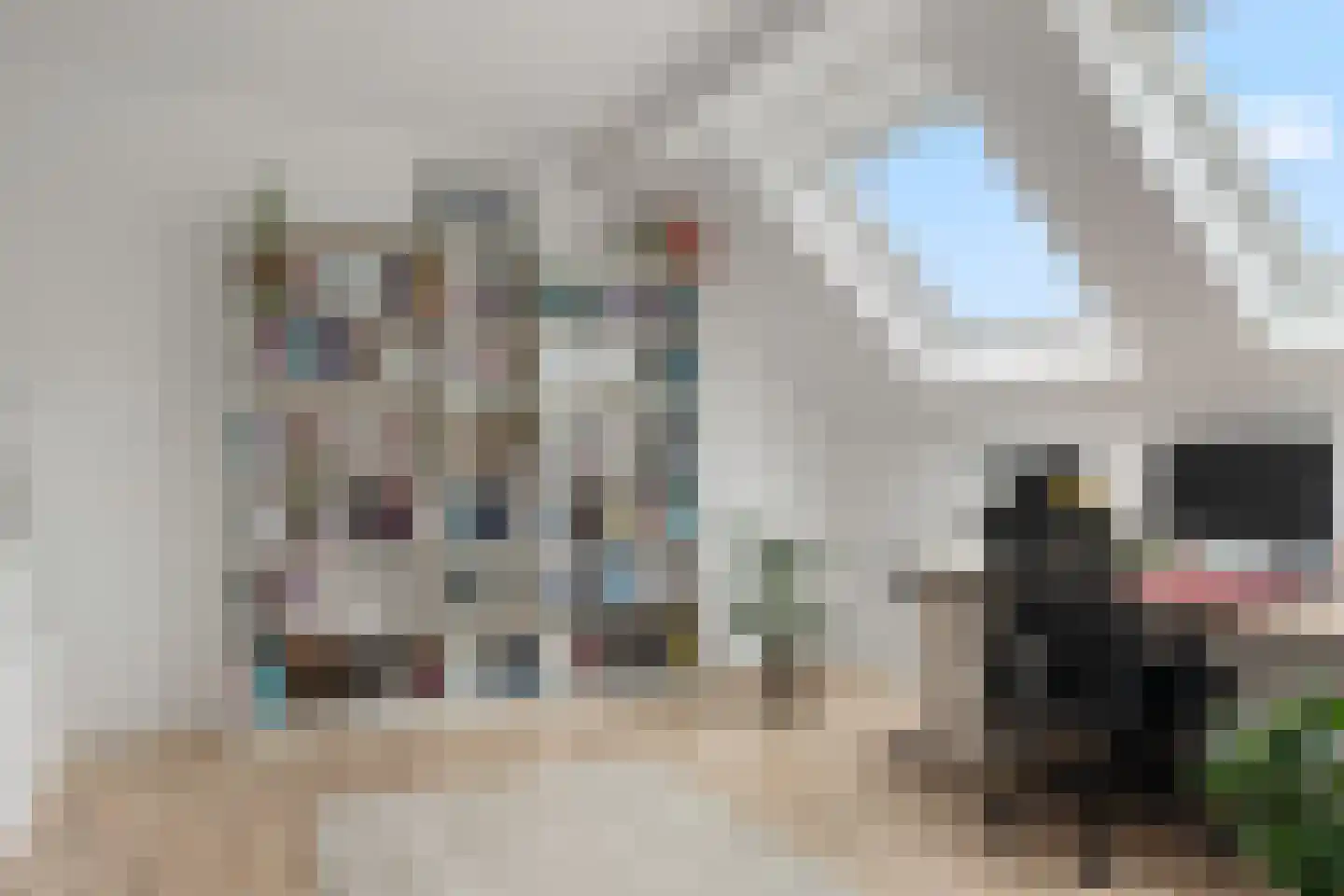 De Poppe 25 SK de Lutte thumbnail 20