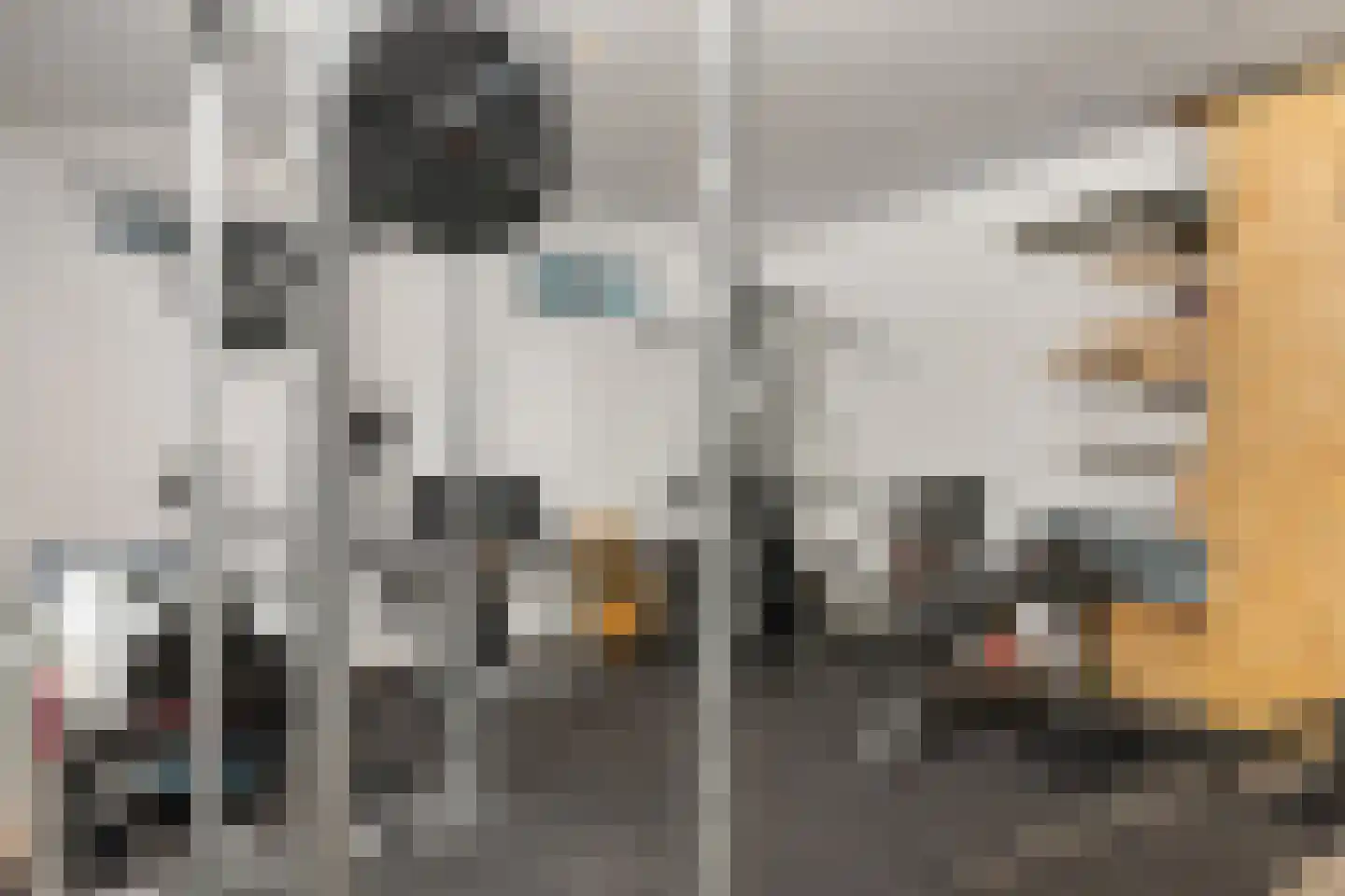 De Poppe 25 SK de Lutte thumbnail 24