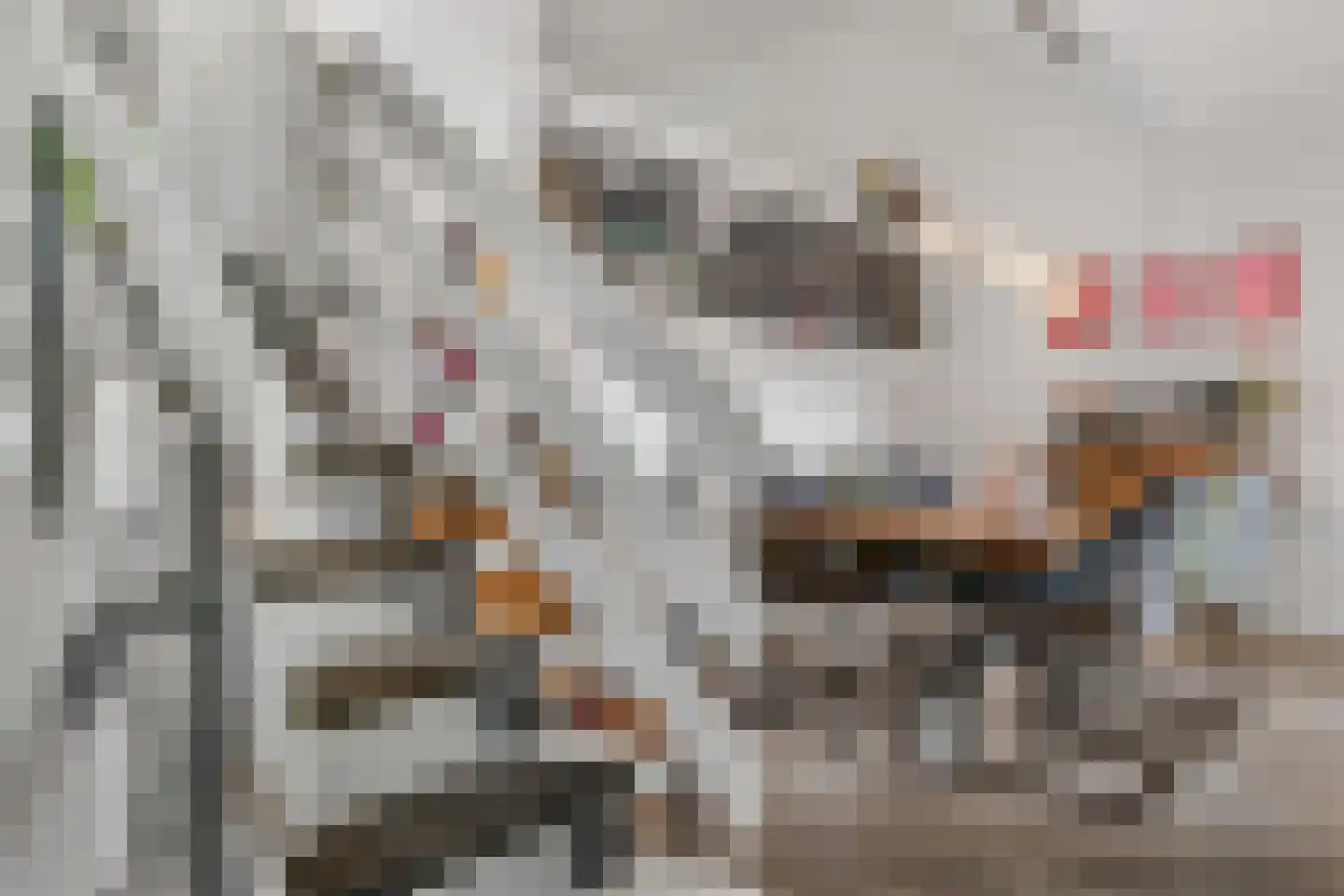 De Poppe 25 SK de Lutte thumbnail 8