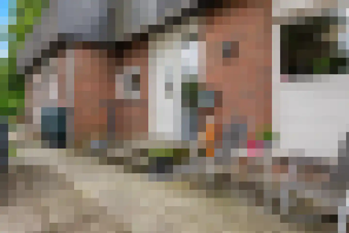 De Poppe 25 SK in de Lutte