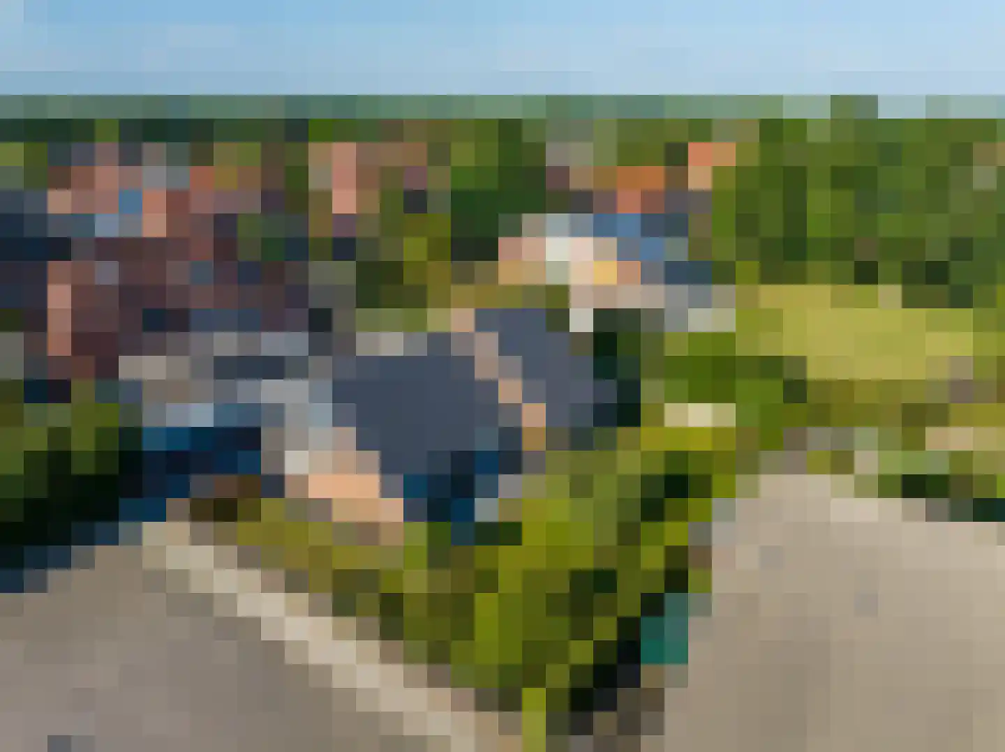 De Poppe 3 de Lutte