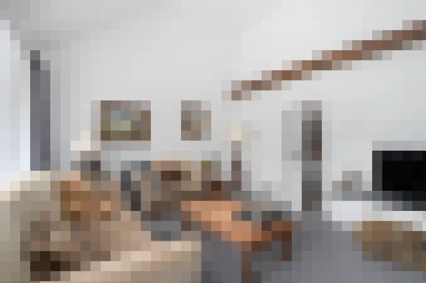 De Poppe 3 de Lutte thumbnail 15