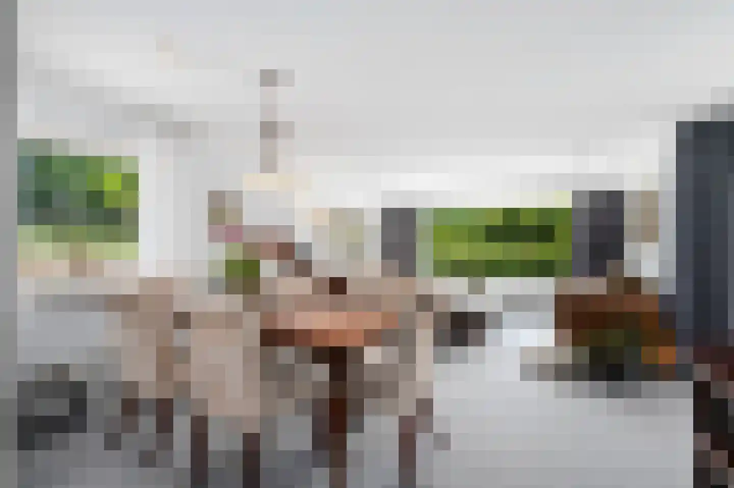 De Poppe 3 de Lutte thumbnail 18