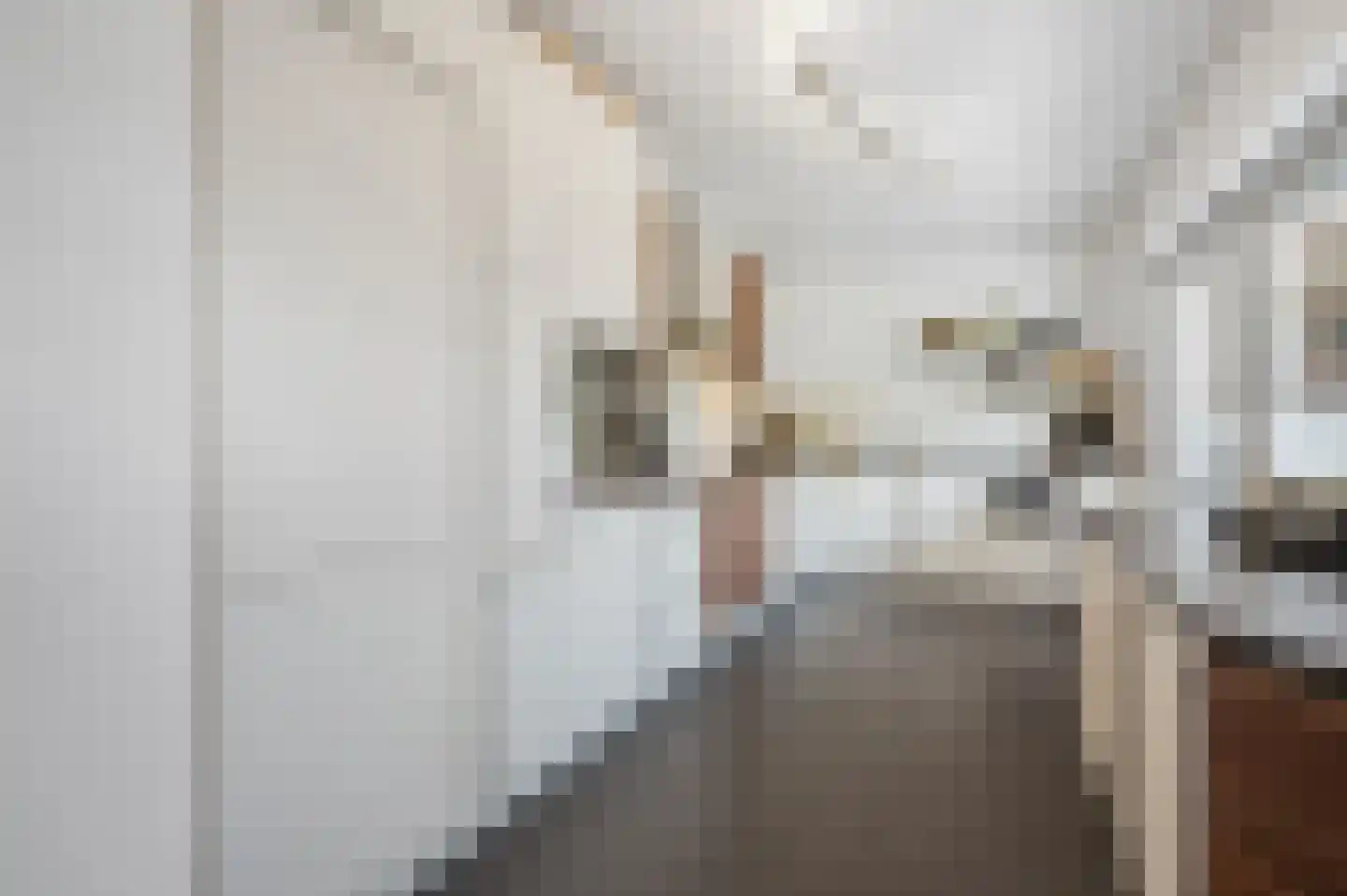 De Poppe 3 de Lutte thumbnail 20