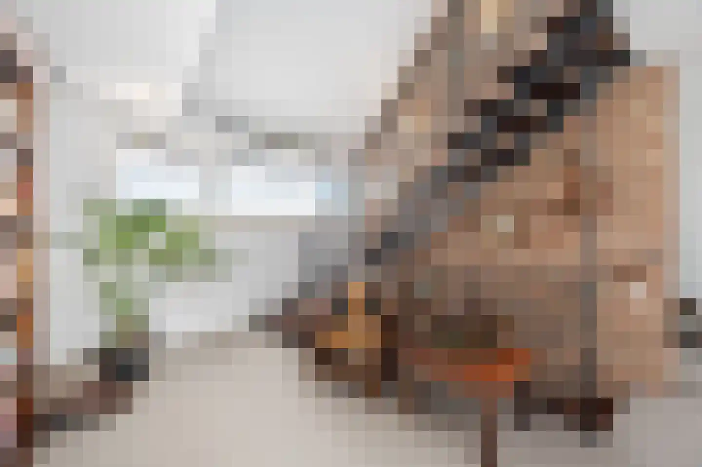 De Poppe 3 de Lutte thumbnail 23