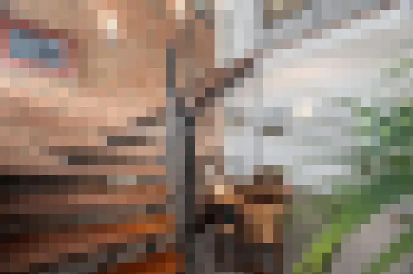 De Poppe 3 de Lutte thumbnail 24