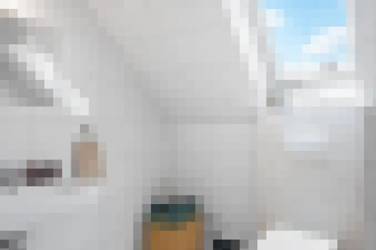 De Poppe 3 de Lutte thumbnail 28
