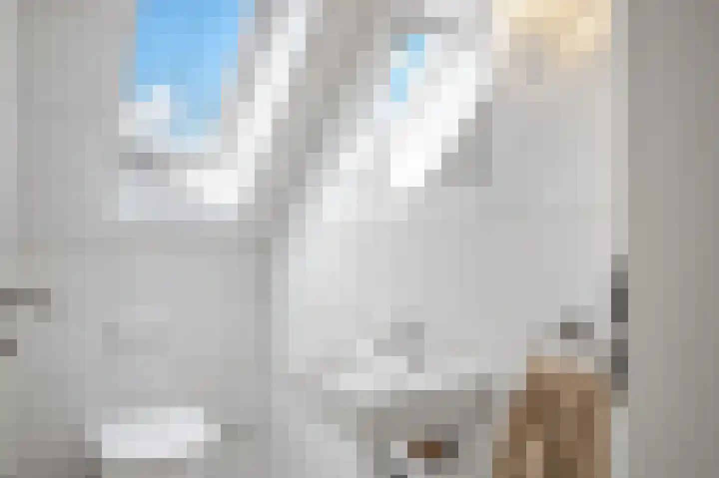 De Poppe 3 de Lutte thumbnail 29