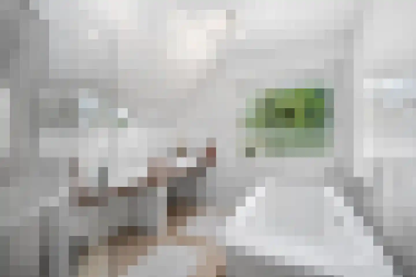 De Poppe 3 de Lutte thumbnail 31
