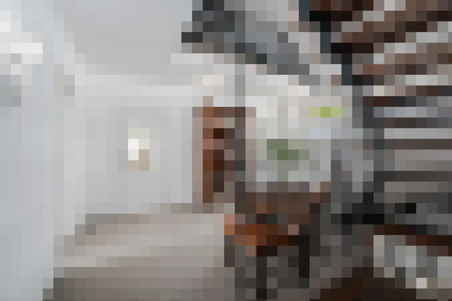 De Poppe 3 de Lutte thumbnail 36