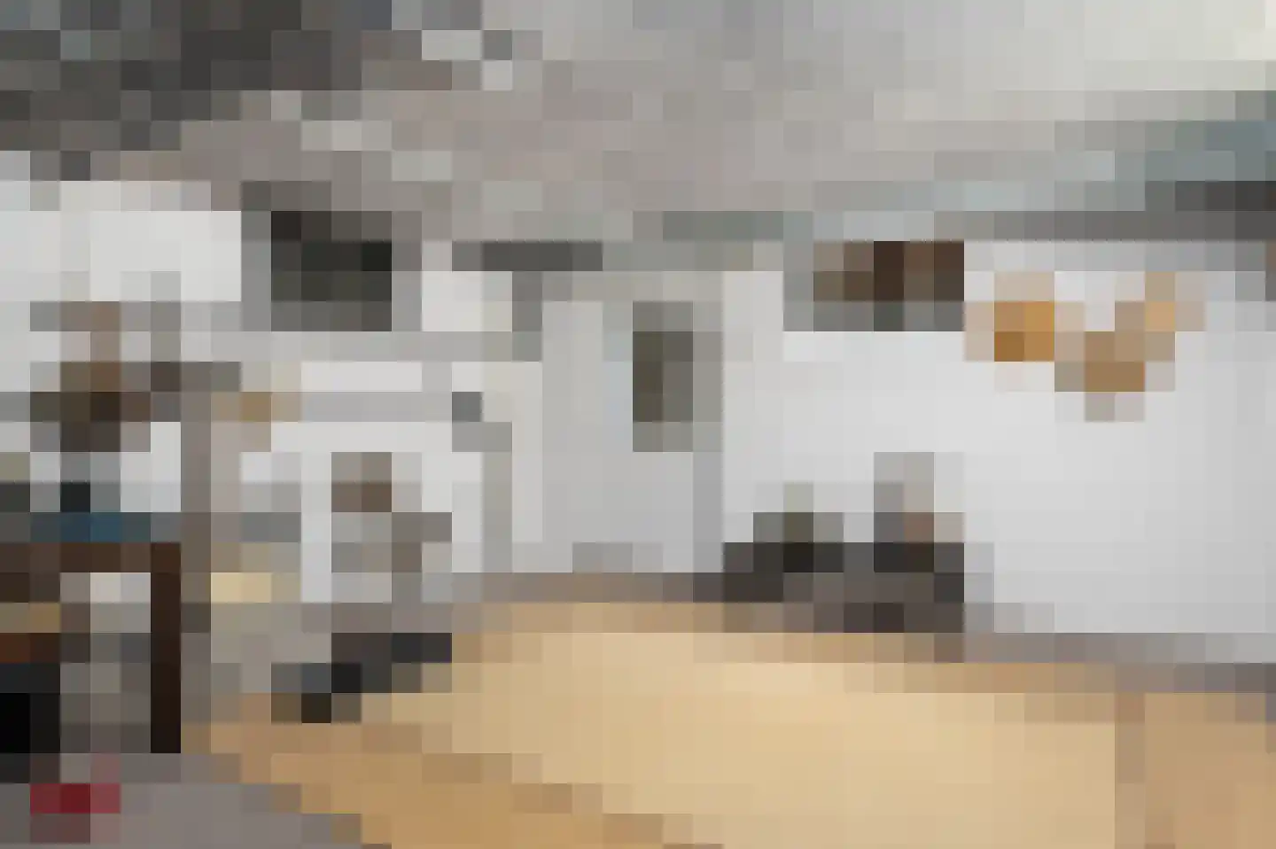 De Poppe 3 de Lutte thumbnail 37