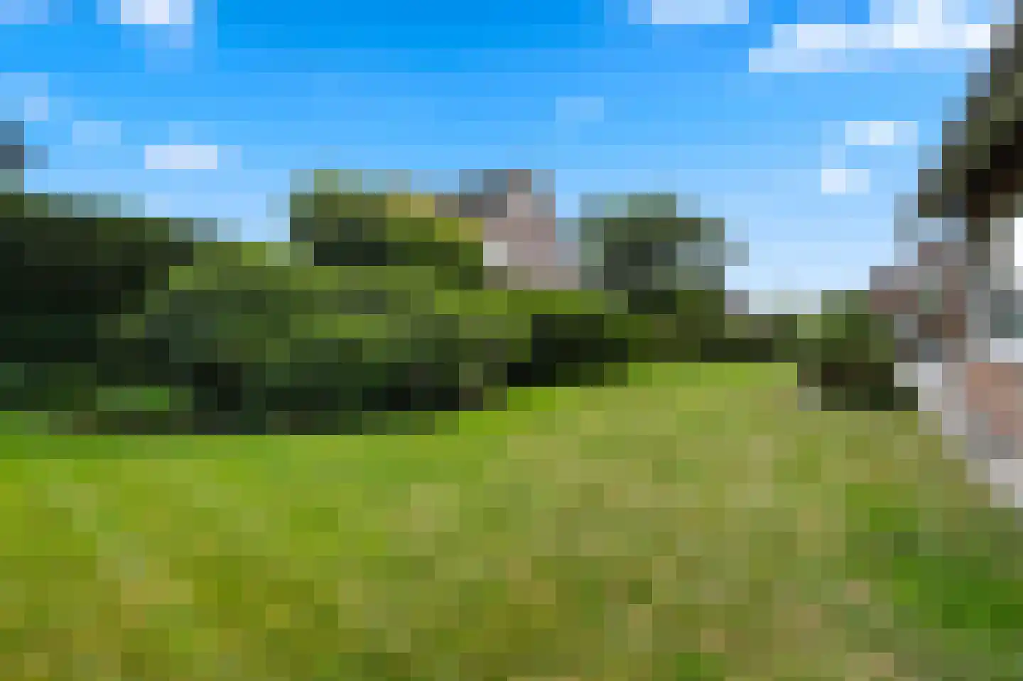 De Poppe 3 de Lutte thumbnail 46