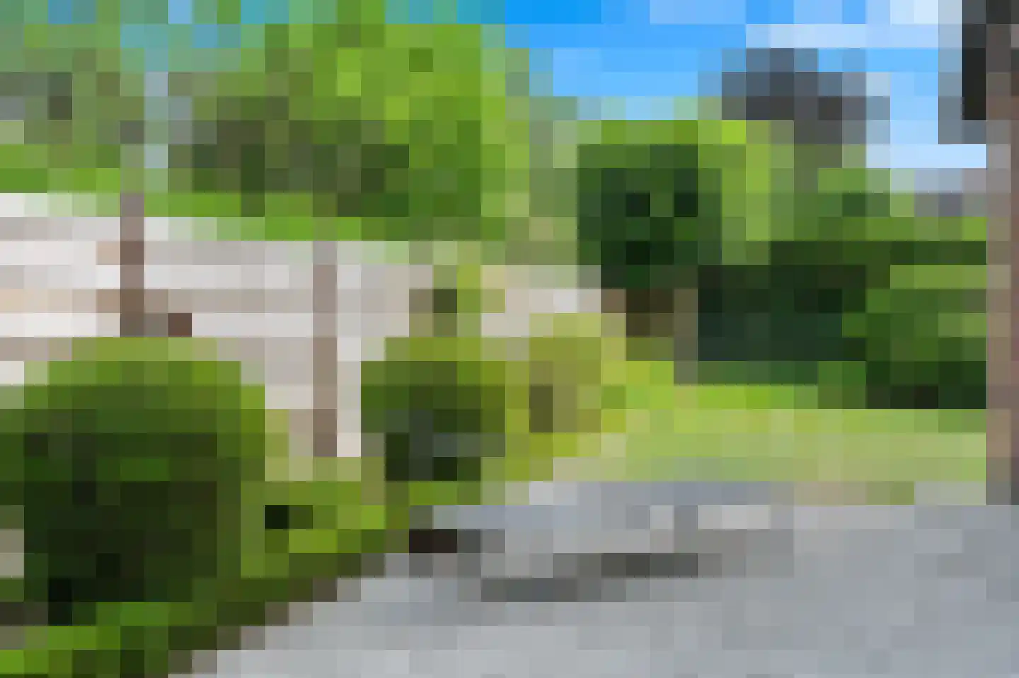 De Poppe 3 de Lutte thumbnail 47