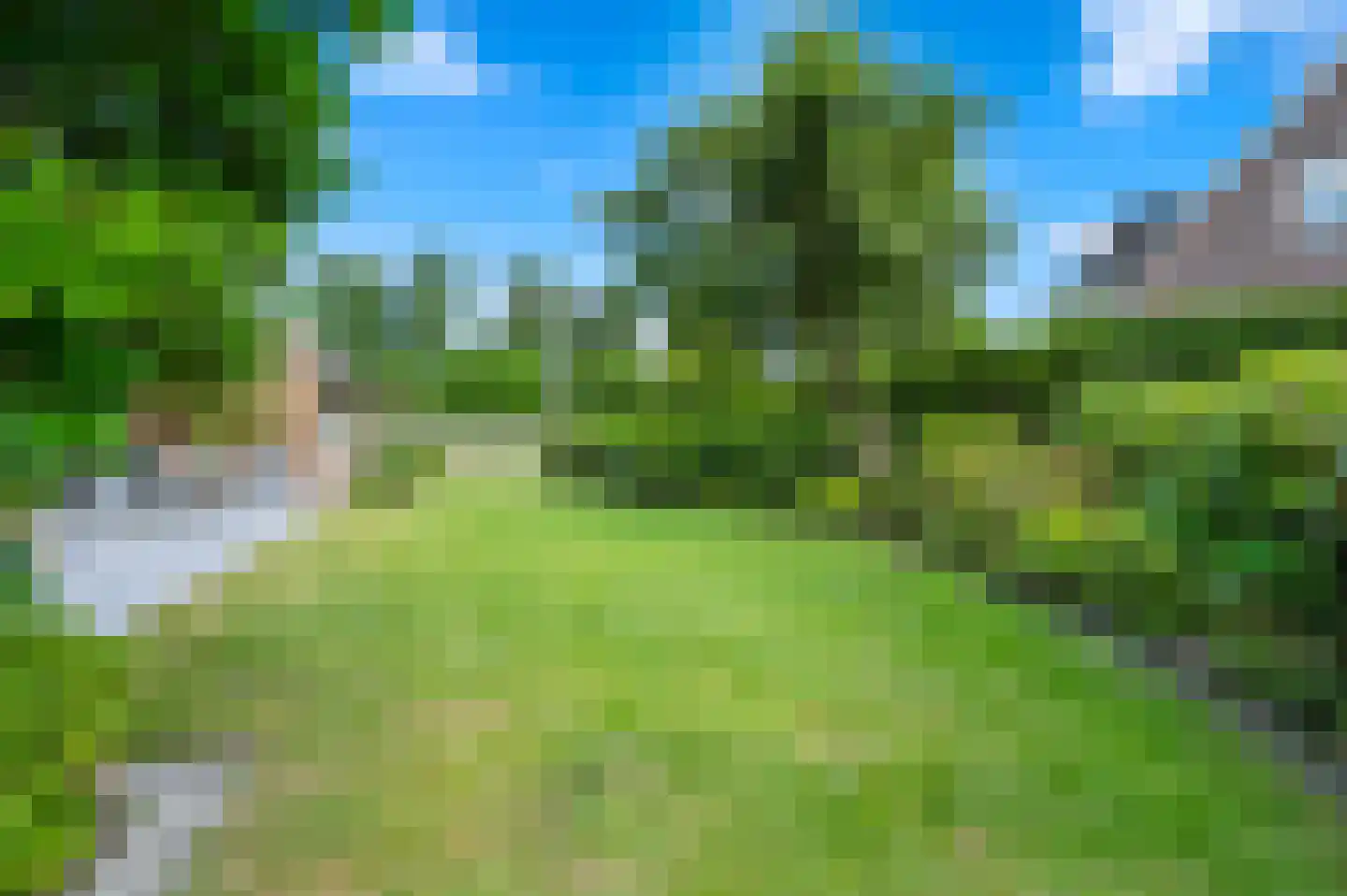 De Poppe 3 de Lutte thumbnail 48