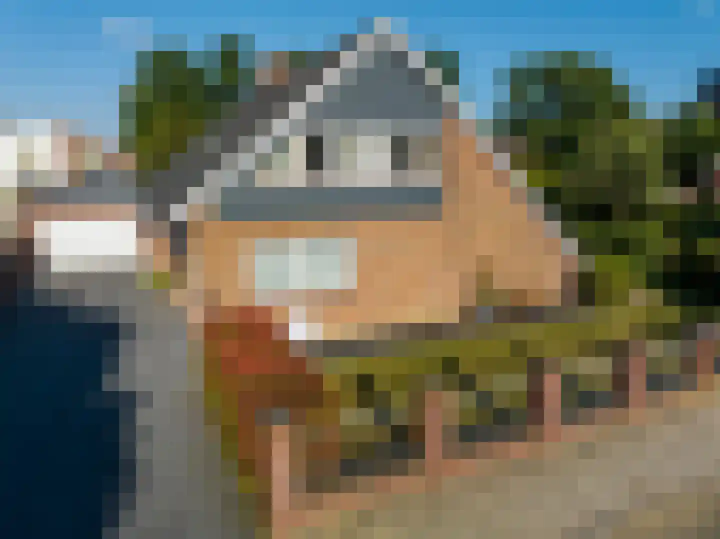 De Poppe 3 de Lutte thumbnail 6