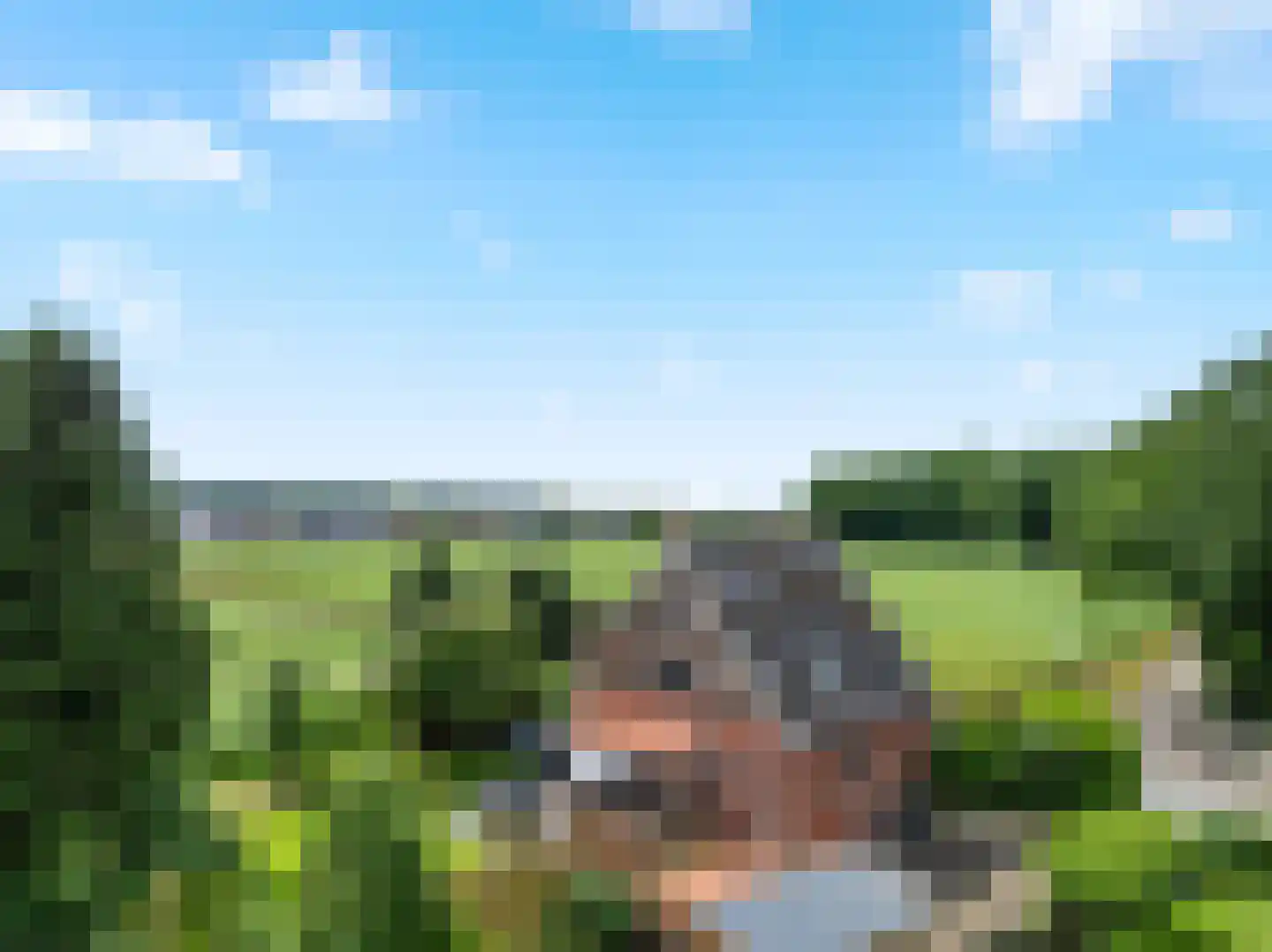 De Poppe 60 de Lutte thumbnail 25