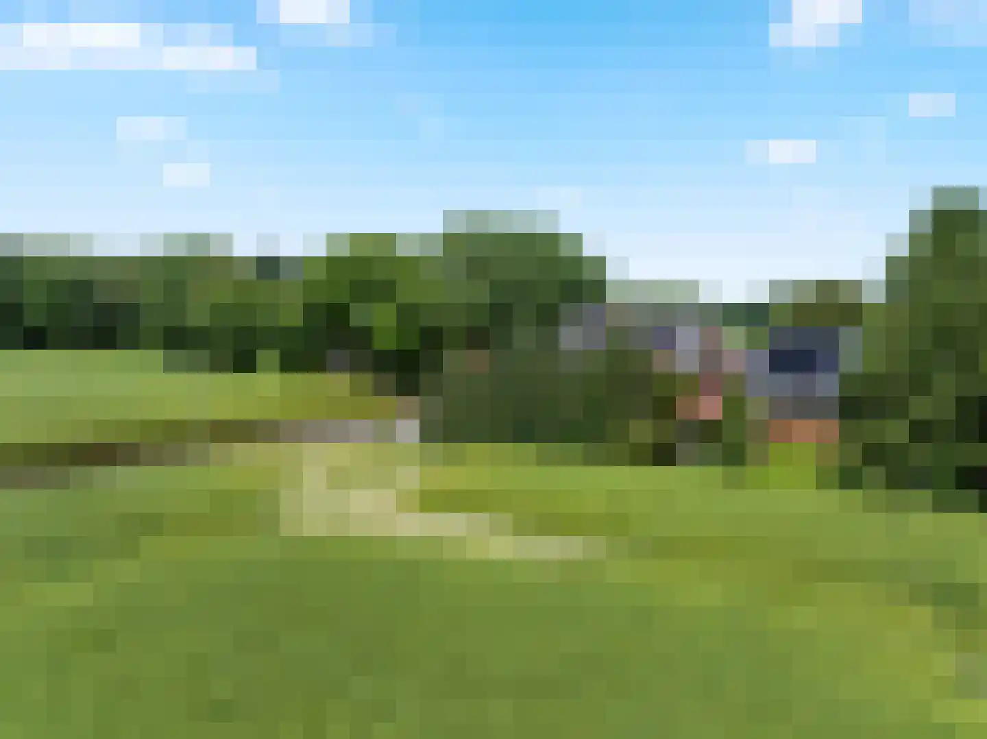 De Poppe 60 de Lutte thumbnail 27