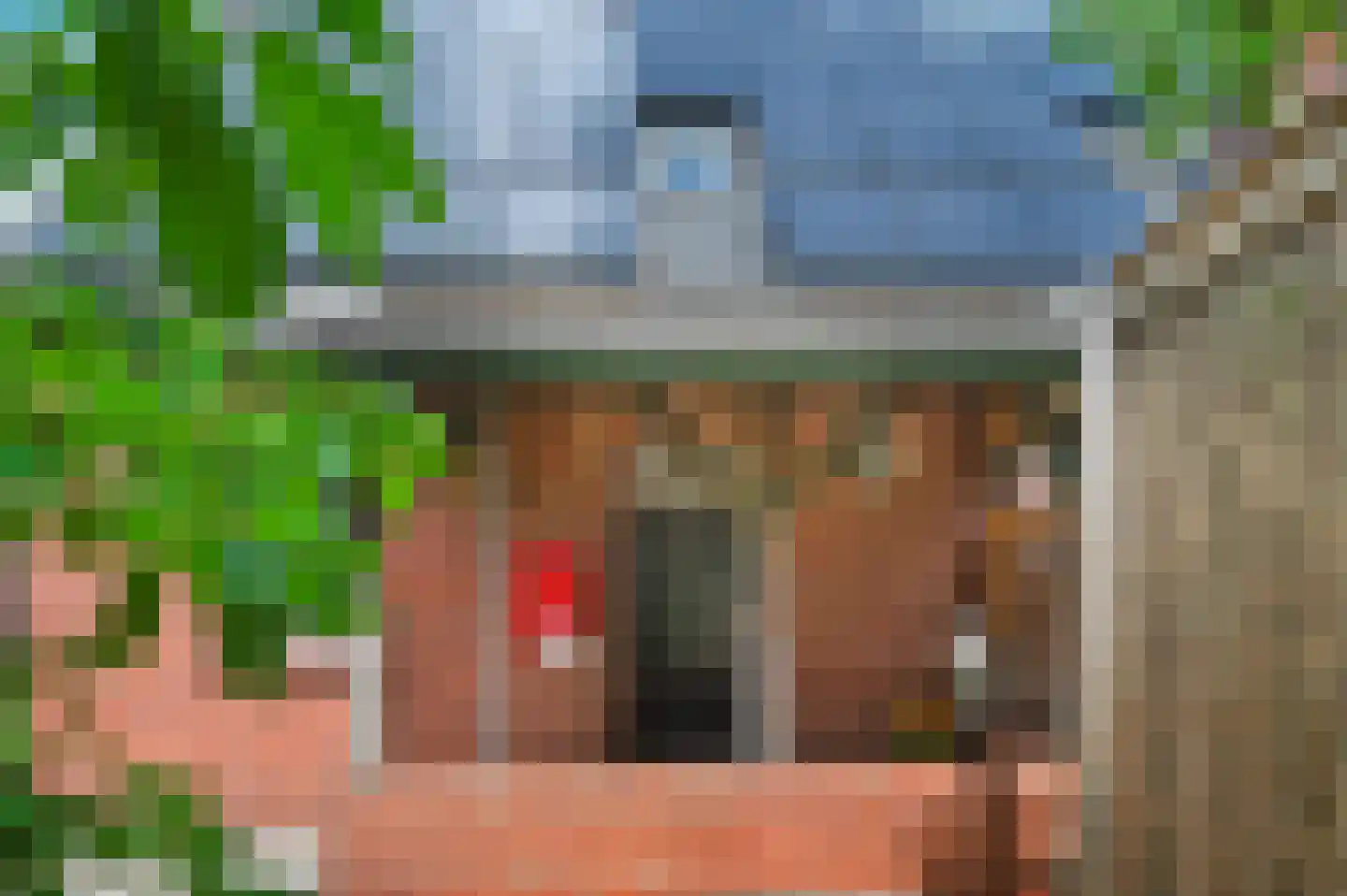 De Poppe 60 de Lutte thumbnail 30