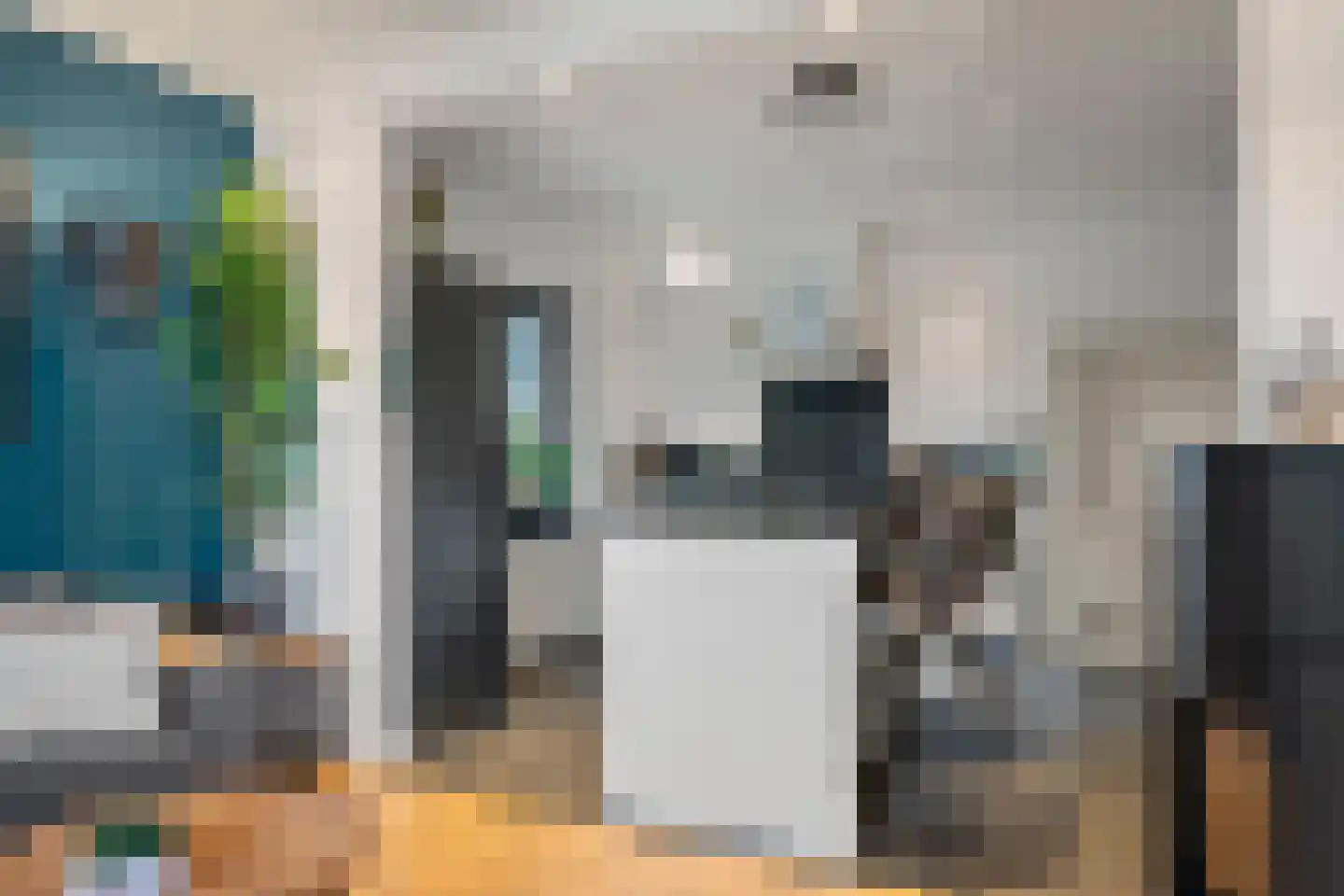 De Poppe 60 de Lutte thumbnail 5