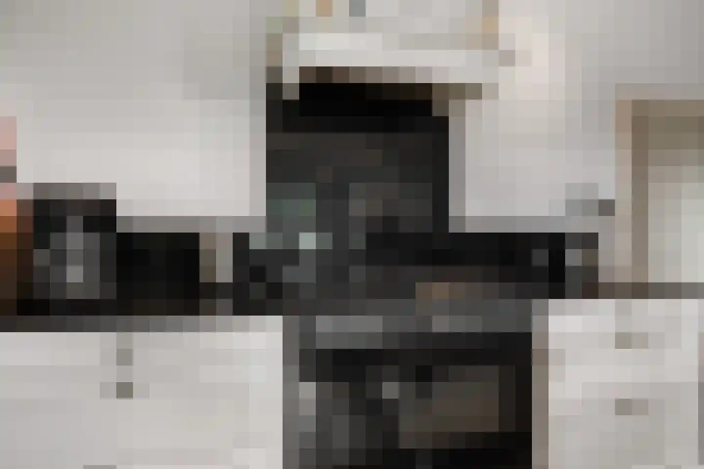 De Poppe 60 de Lutte thumbnail 8