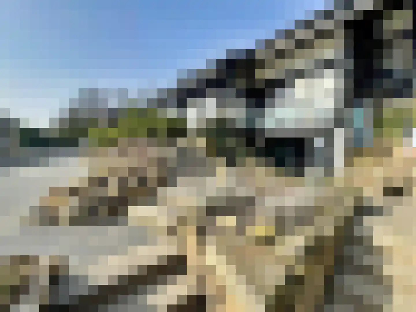 De Poppe 70 de Lutte thumbnail 10