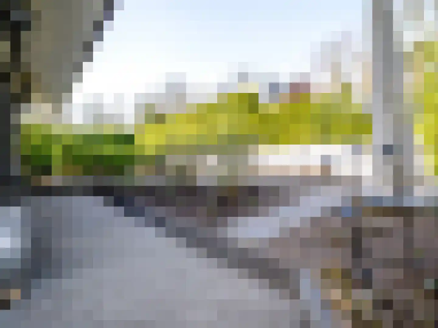 De Poppe 70 de Lutte thumbnail 13