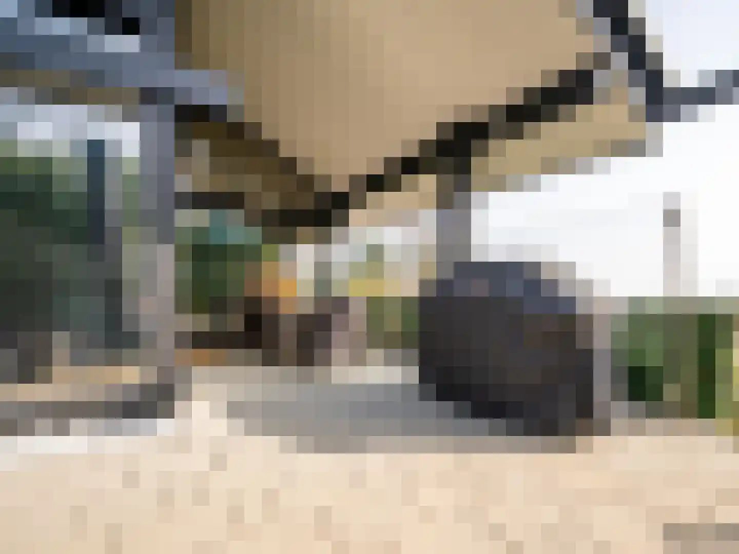 De Poppe 70 de Lutte thumbnail 16