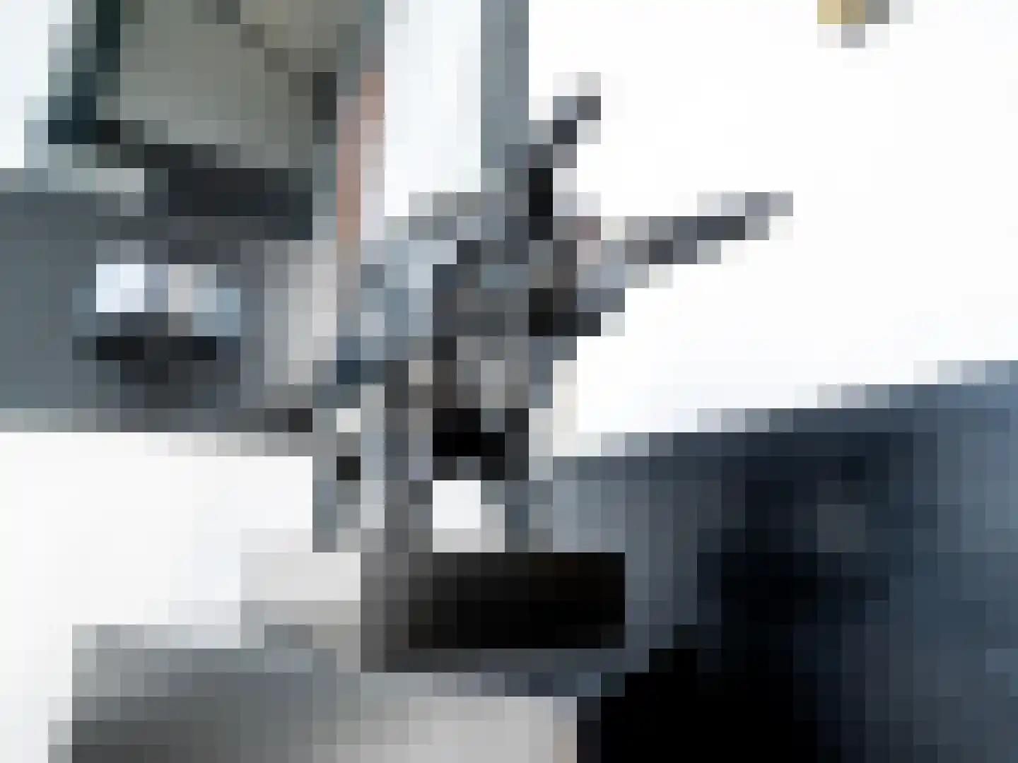 De Poppe 70 de Lutte thumbnail 20