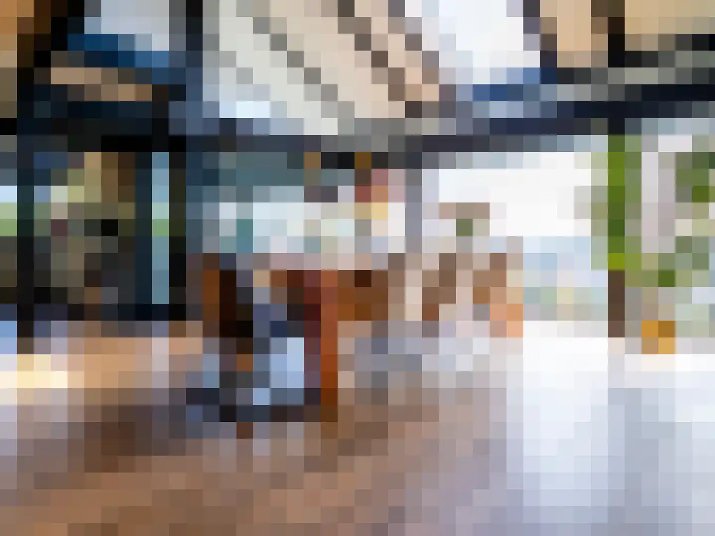 De Poppe 70 de Lutte thumbnail 21