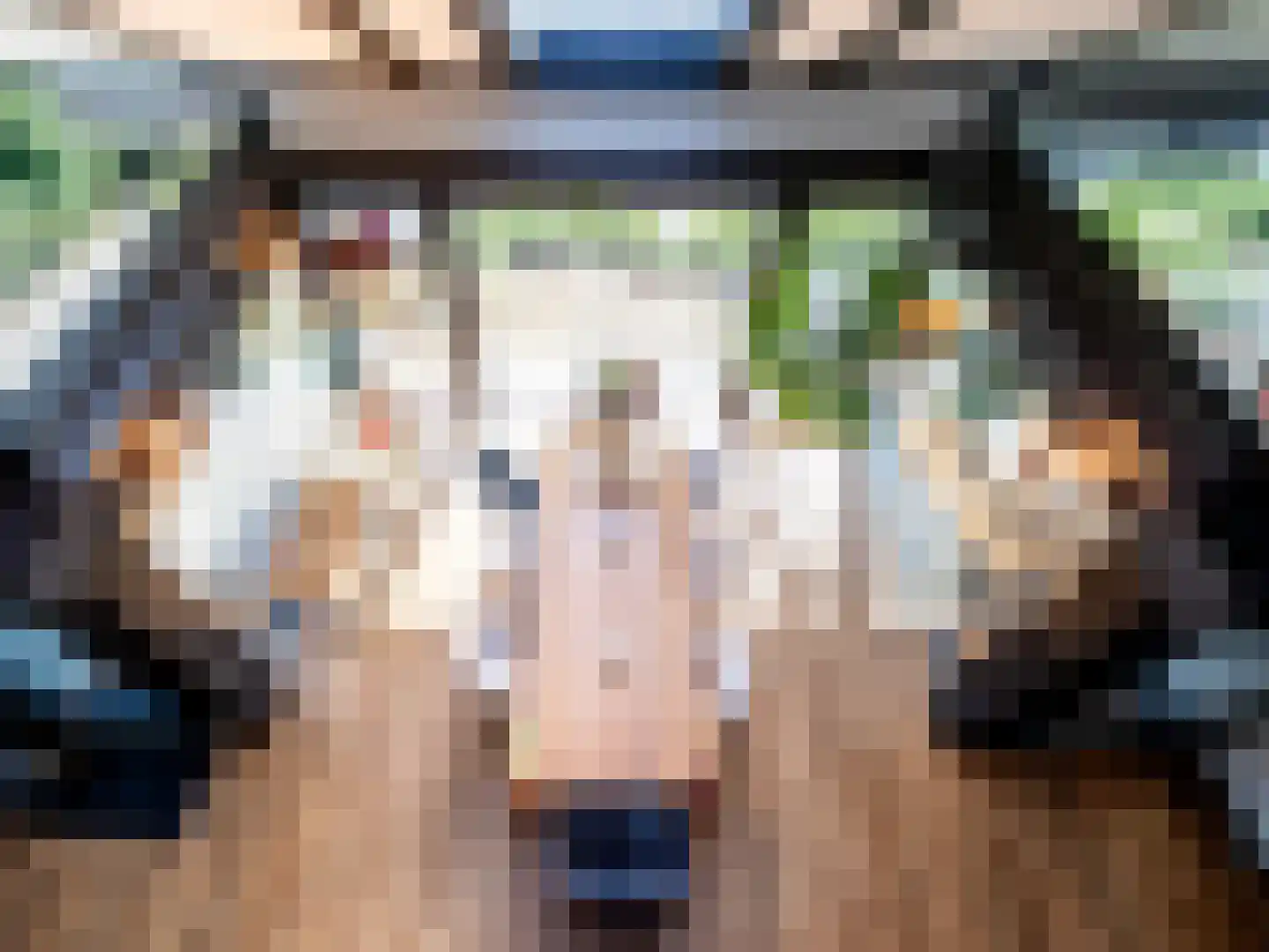 De Poppe 70 de Lutte thumbnail 23