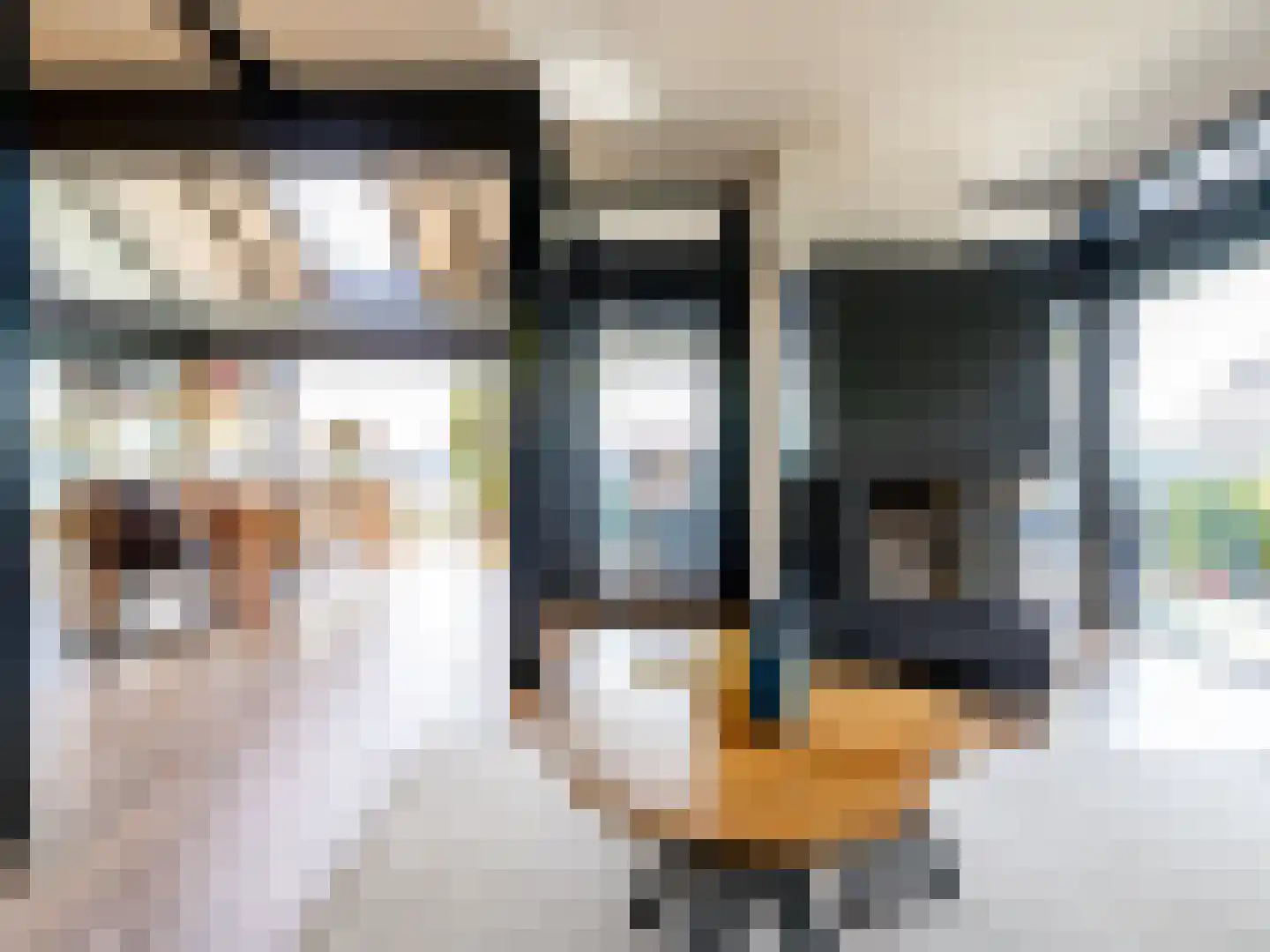 De Poppe 70 de Lutte thumbnail 25