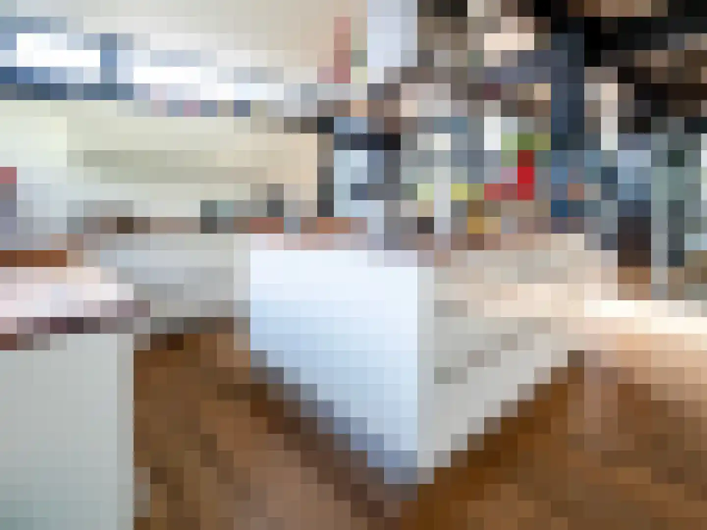 De Poppe 70 de Lutte thumbnail 29