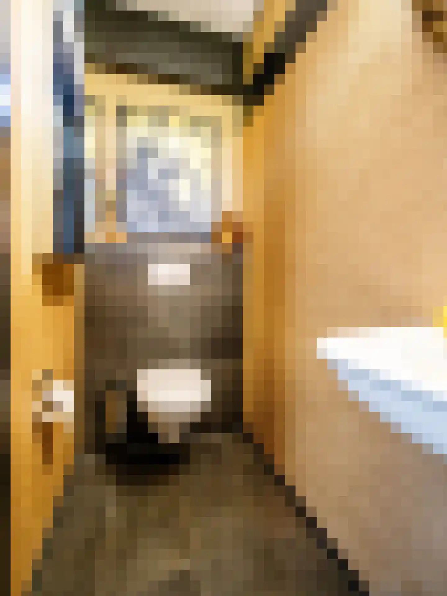 De Poppe 70 de Lutte thumbnail 31