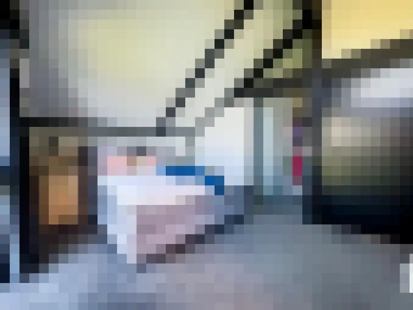 De Poppe 70 de Lutte thumbnail 37