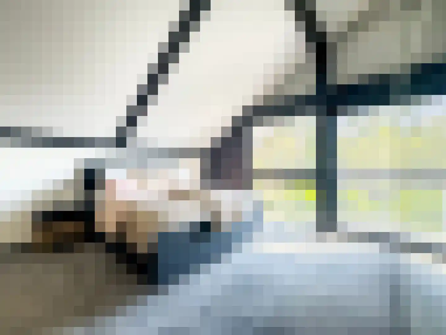 De Poppe 70 de Lutte thumbnail 39