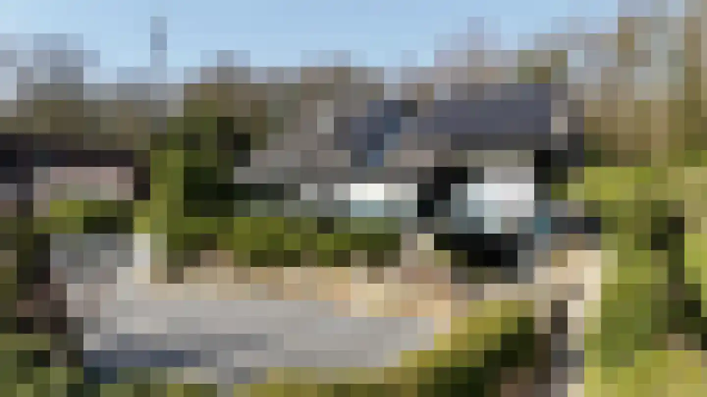 De Poppe 70 de Lutte thumbnail 4