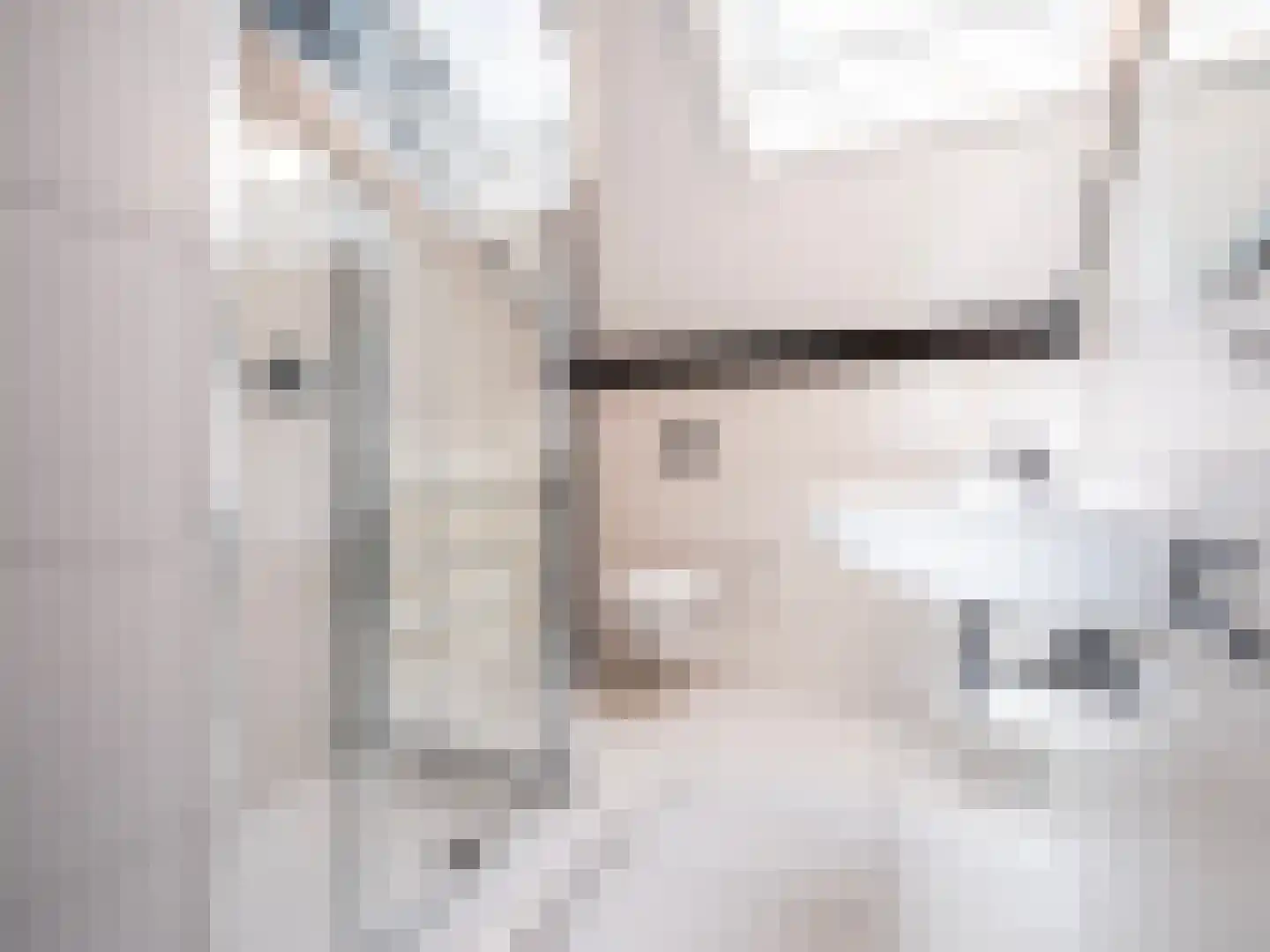 De Poppe 70 de Lutte thumbnail 40