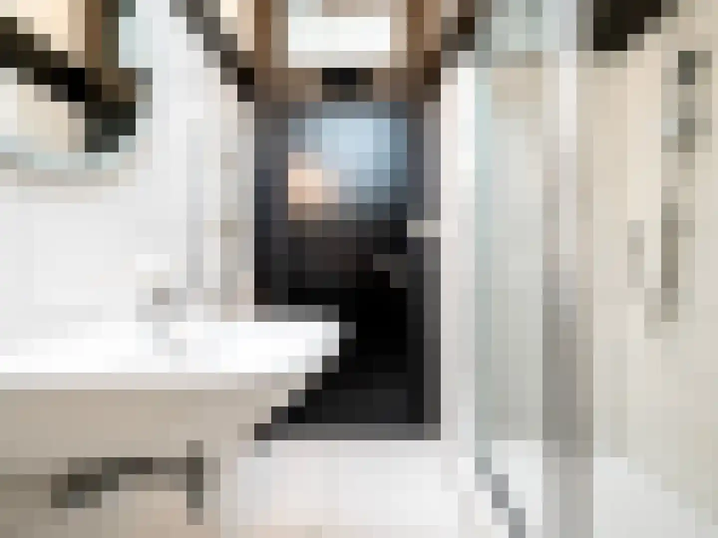 De Poppe 70 de Lutte thumbnail 41