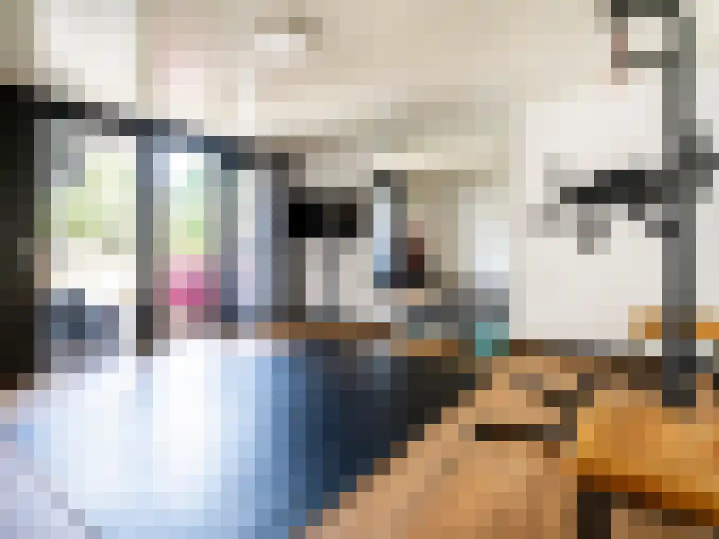 De Poppe 70 de Lutte thumbnail 44