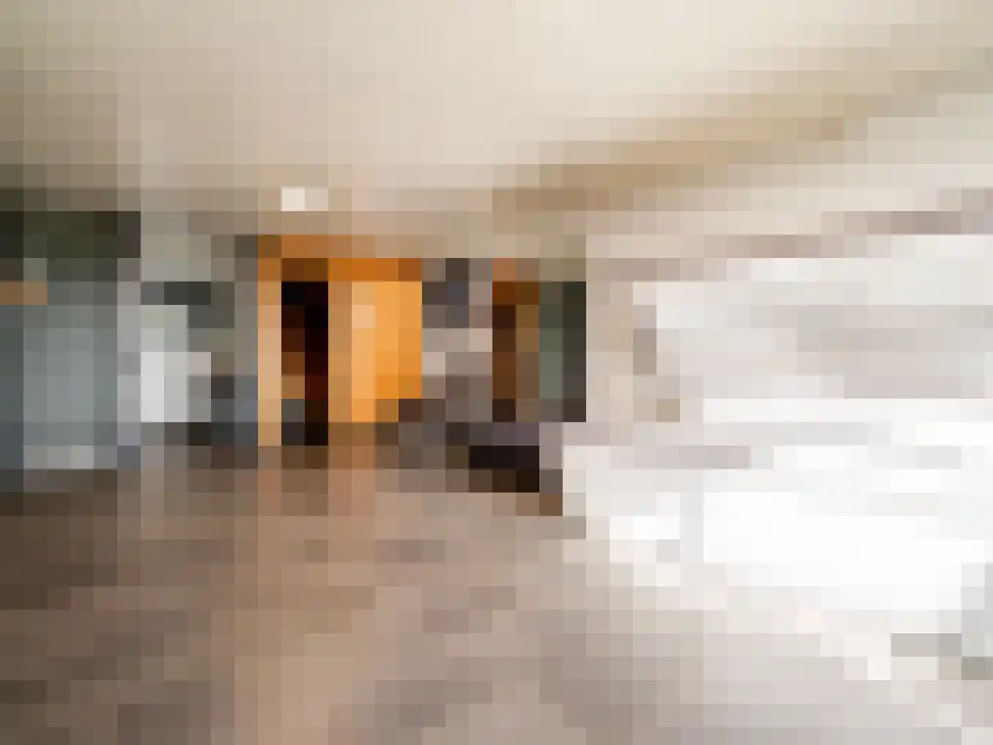 De Poppe 70 de Lutte thumbnail 46